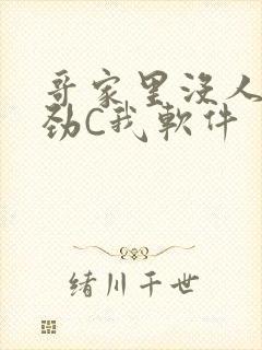 哥家里没人使点劲C我软件