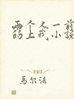 两个人一前一后的上我小说