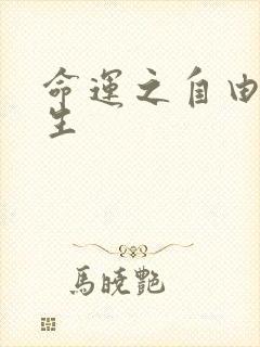 命运之自由的新生