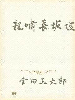 龙啸长坂坡