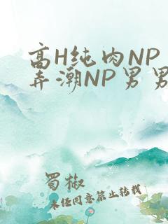 高H纯肉NP 弄潮NP男男