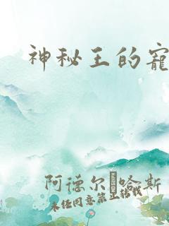 神秘王的宠姬