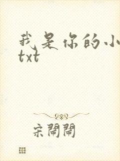 我是你的小小狗txt