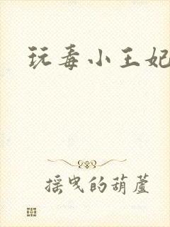 玩毒小王妃