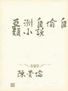 亚洲自偷自拍另类小说