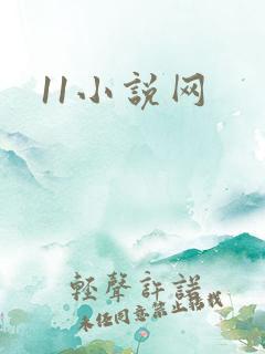 11小说网