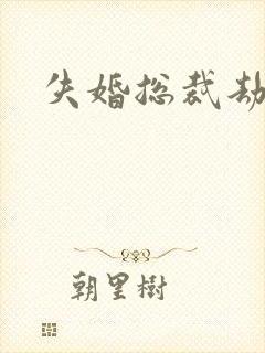 失婚总裁劫前妻