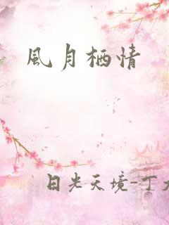 风月栖情