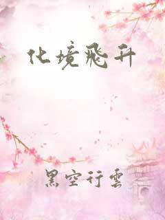 化境飞升