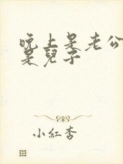 晚上是老公白天是儿子