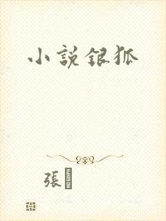 小说银狐