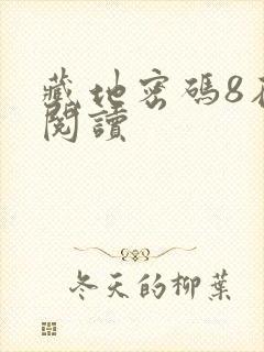 藏地密码8在线阅读