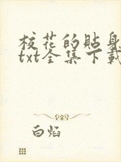 校花的贴身保镖txt全集下载