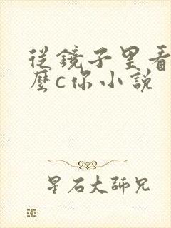 从镜子里看我怎么c你小说