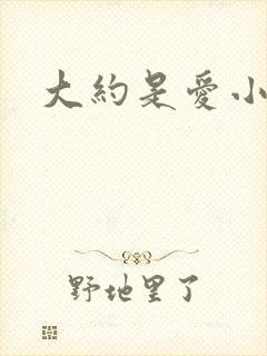 大约是爱小说