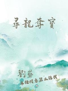 寻龙夺宝
