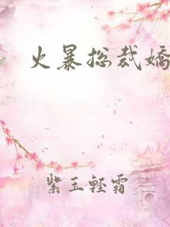 火暴总裁娇柔妻