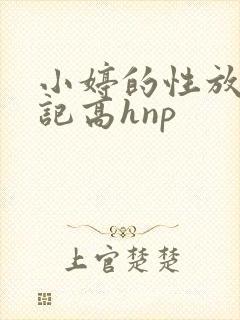 小婷的性放荡日记高hnp