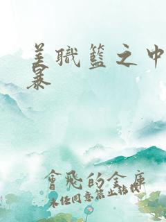 美职篮之中国风暴