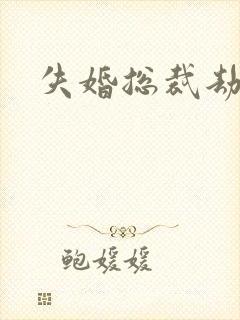 失婚总裁劫前妻