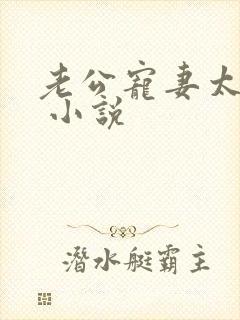 老公宠妻太甜蜜 小说