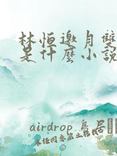 林恒邀月双胞胎是什么小说