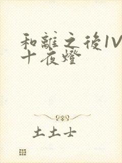 和离之后1V1十夜灯