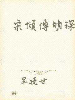 宋倾傅明琛小说