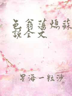 色翁荡熄苏钥小说全文