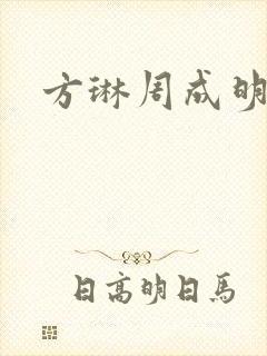 方琳周成明小说