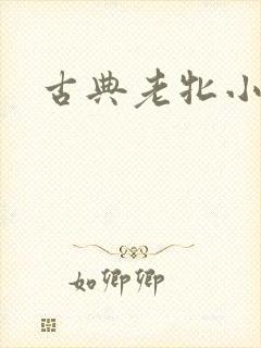 古典老牝小说