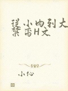 从小肉到大师傅禁脔H文