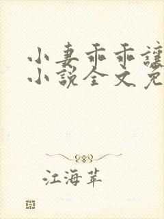 小妻乖乖让我宠小说全文免费阅读