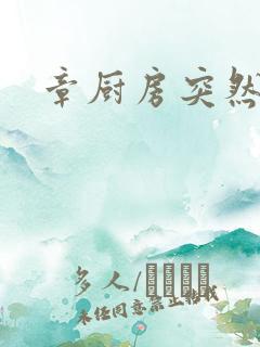 章厨房突然挺入