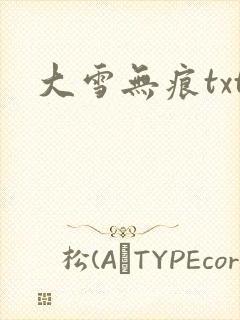 大雪无痕txt