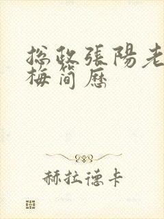 总政张阳老婆吕梅简历