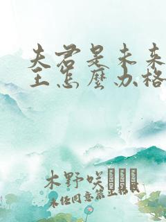 夫君是未来大魔王怎么办格格党