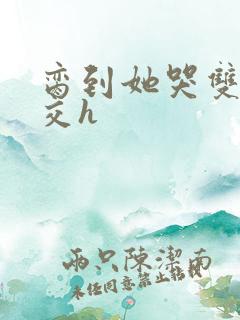 脔到她哭双根宫交h