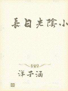 长日光阴小说