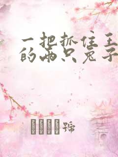 一把抓住王昭君的两只兔子