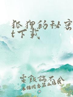 狐狸的秘密txt下载