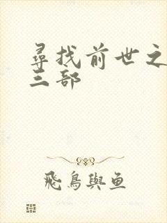 寻找前世之旅第三部