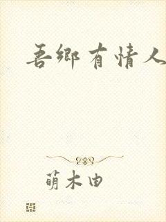 吾乡有情人小说