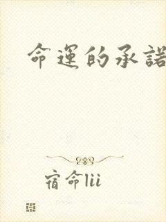 命运的承诺下载