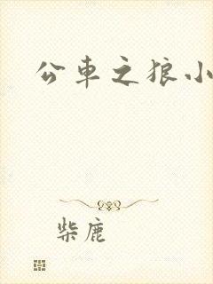 公车之狼小说