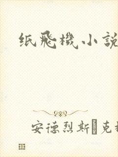 纸飞机小说