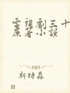 电视剧三十而已原著小说