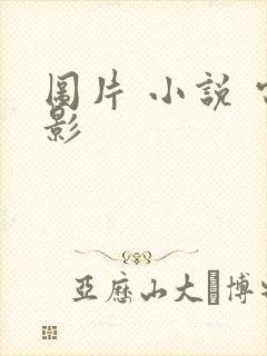 图片 小说 电影