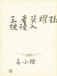 王者荣耀孙尚香被后入