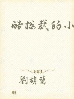 酷总裁的小女佣